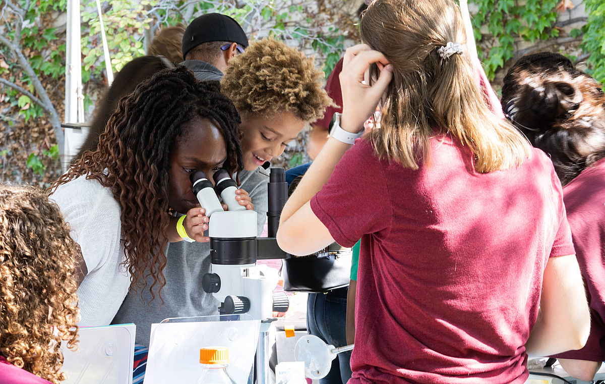 Attendees look through a microscope at the second annual South Side Science Festival.